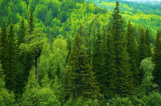 1131937 (a): :3000x1971